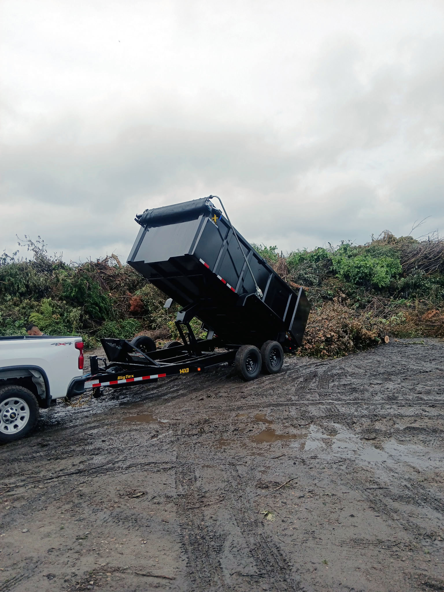 Junk removal team in Minneapolis MN