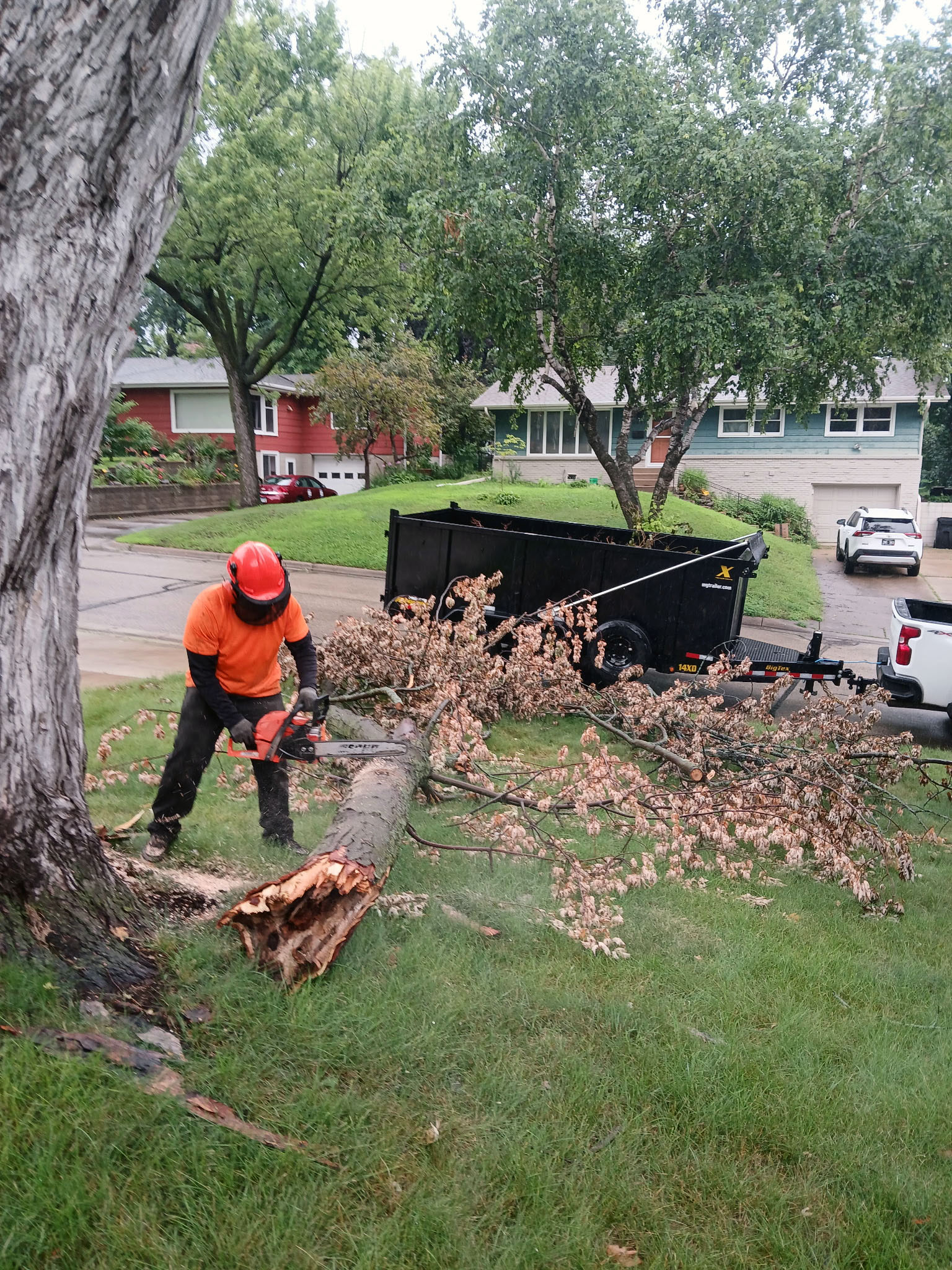 Yard waste cleanup in Eagan MN