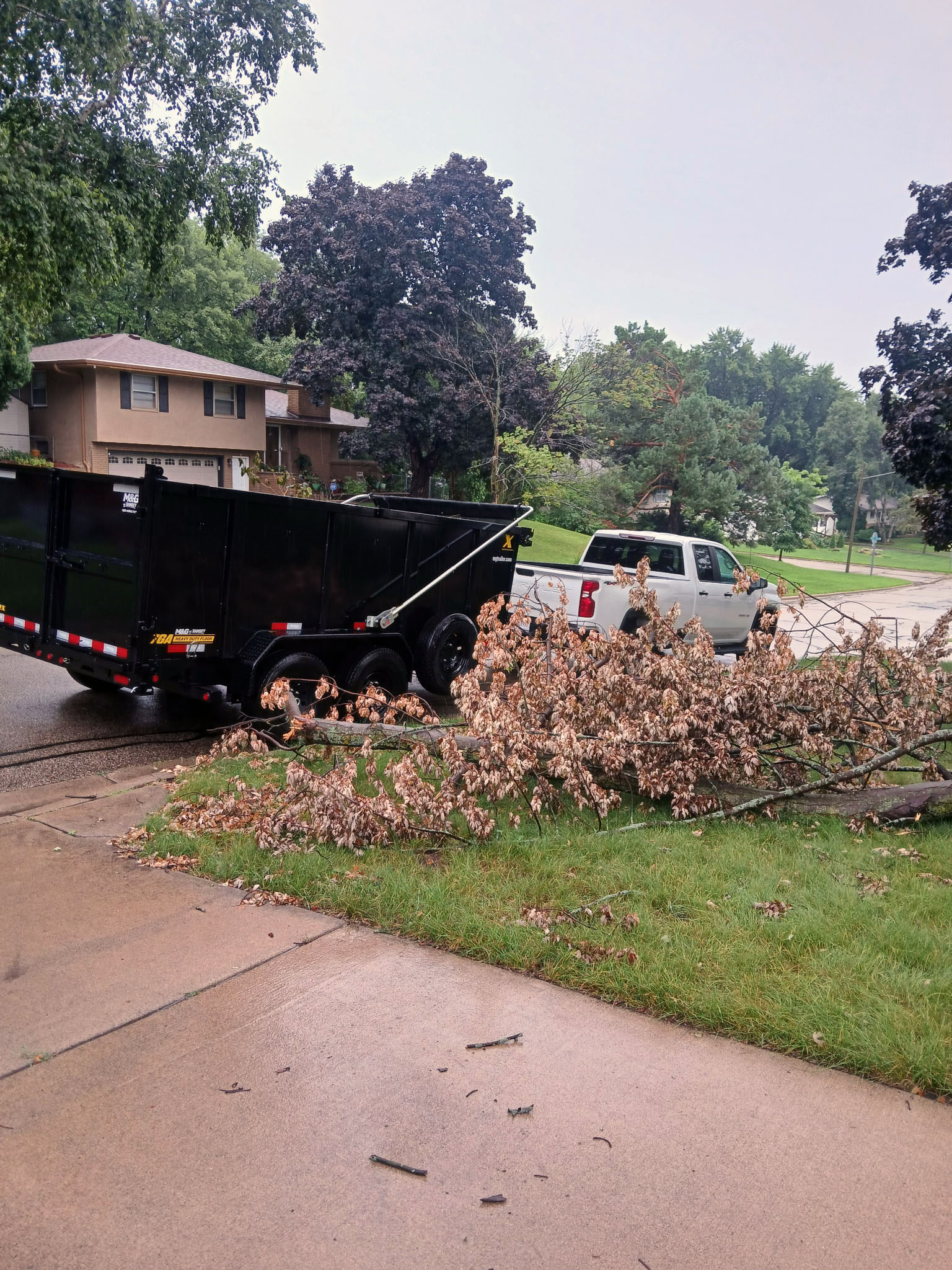 Debris hauling in Bloomington MN