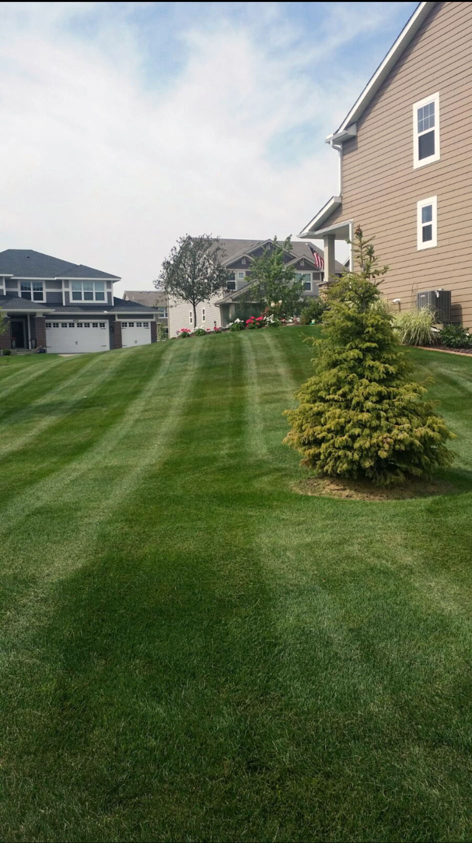 Backyard landscaping in Minneapolis MN