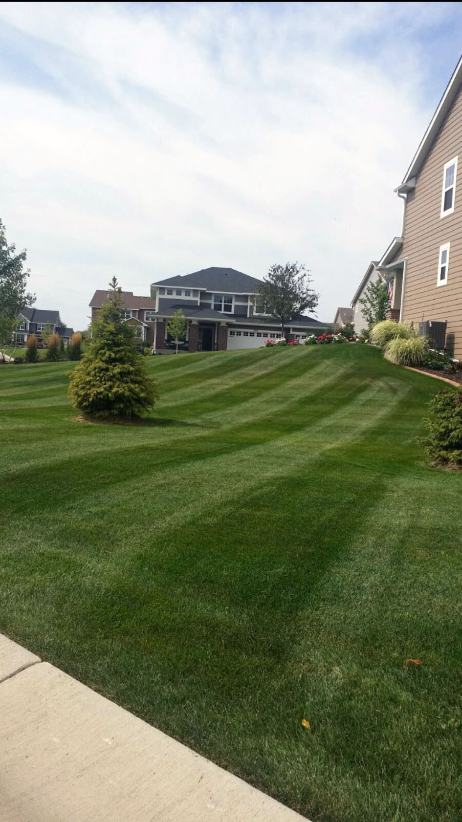 Front yard landscaping in St. Paul MN