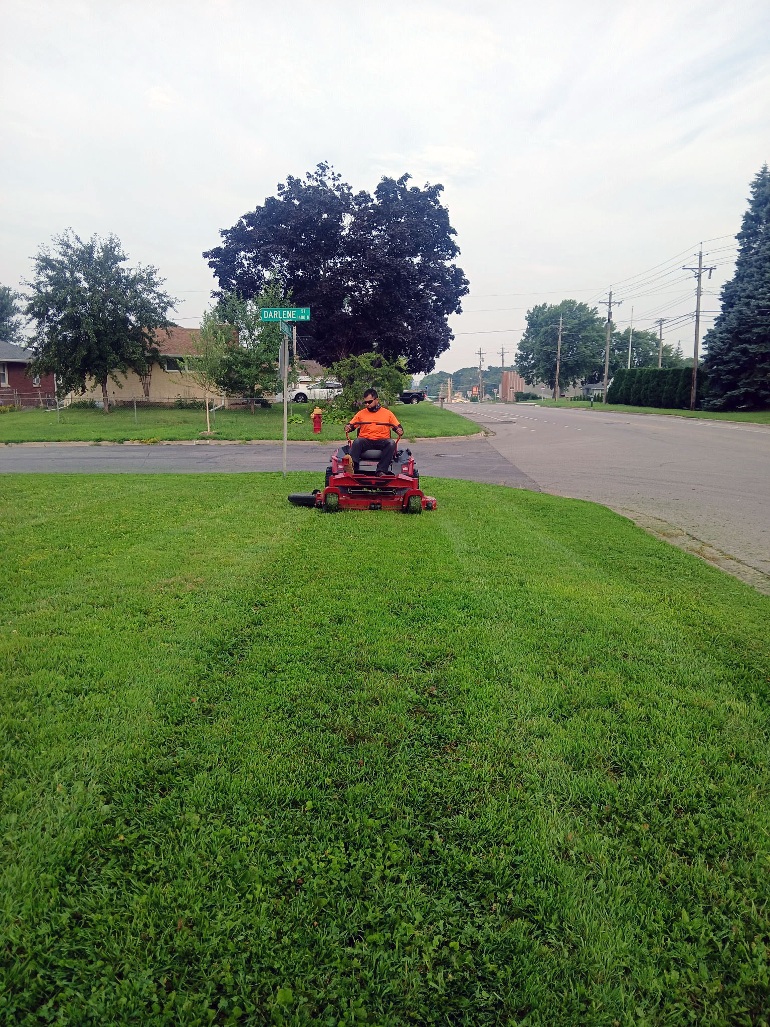 Mulch installation in Roseville MN